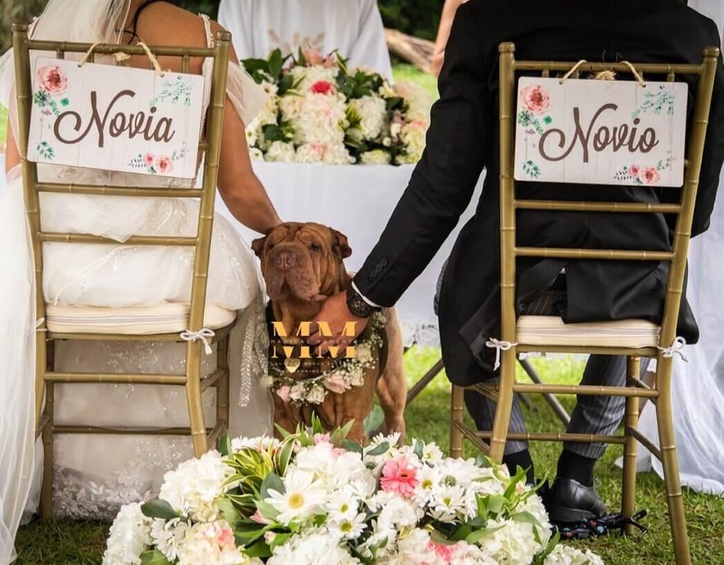 Galería de bodas – Foto 2